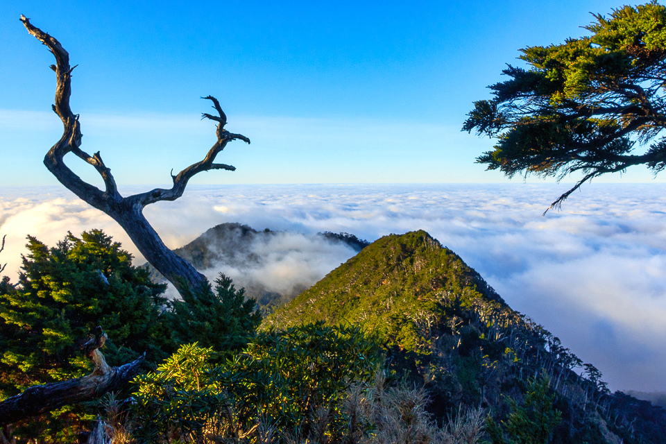 DSC03234-編輯.JPG DSC03234-編輯.JPG