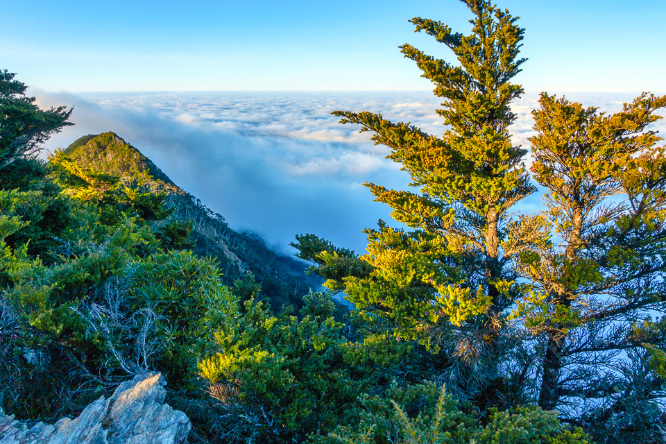 DSC03232-編輯.JPG DSC03232-編輯.JPG