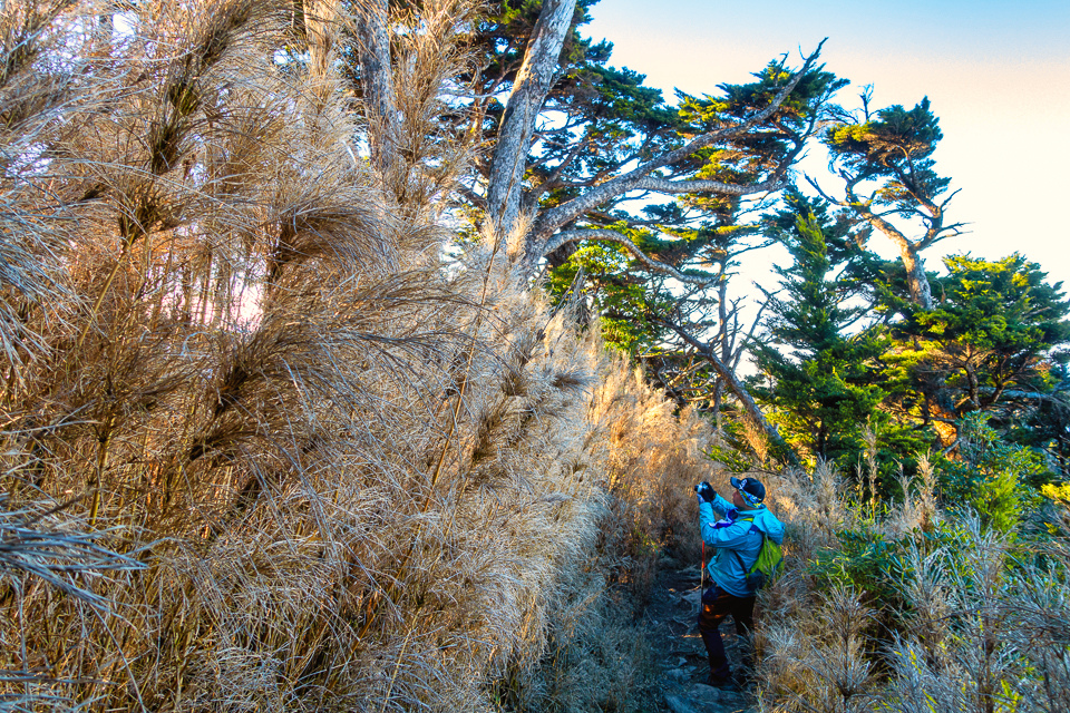 DSC03239-編輯.JPG DSC03239-編輯.JPG