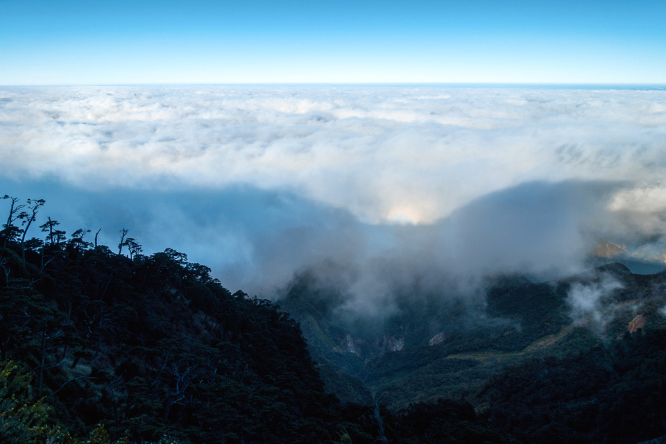 DSC03259-編輯.JPG DSC03259-編輯.JPG