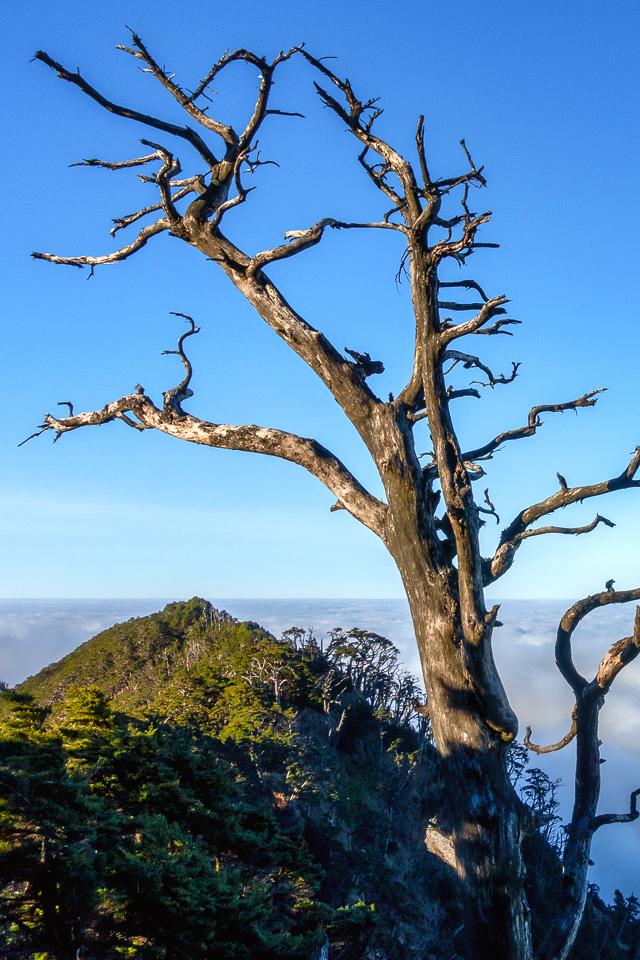 DSC03244-編輯.JPG DSC03244-編輯.JPG