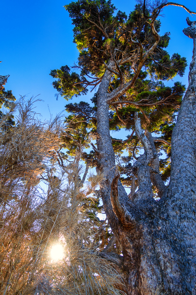 DSC03241-編輯.JPG DSC03241-編輯.JPG