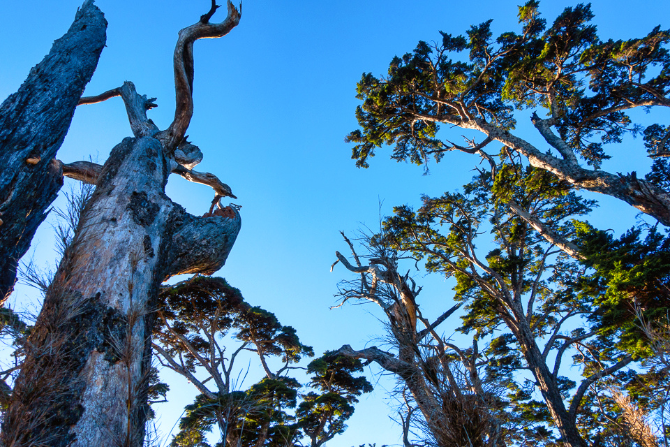 DSC03268-編輯.JPG DSC03268-編輯.JPG