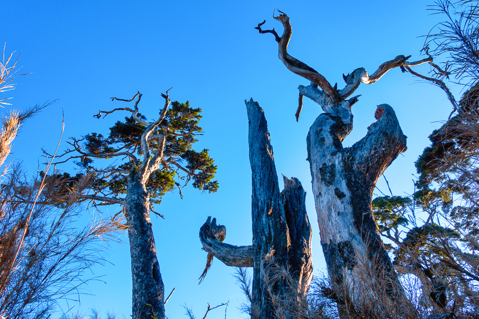 DSC03270-編輯.JPG DSC03270-編輯.JPG