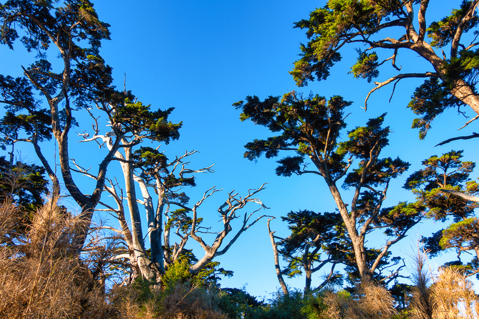 DSC03269-編輯.JPG DSC03269-編輯.JPG