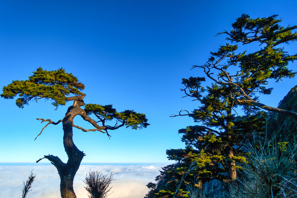 DSC03275-編輯.JPG DSC03275-編輯.JPG