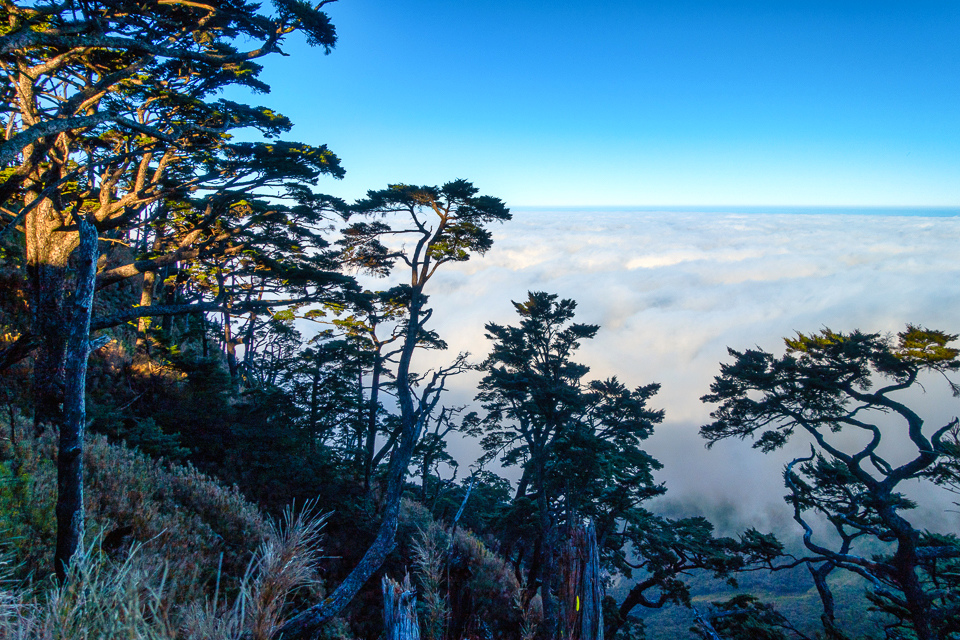 DSC03273-編輯.JPG DSC03273-編輯.JPG