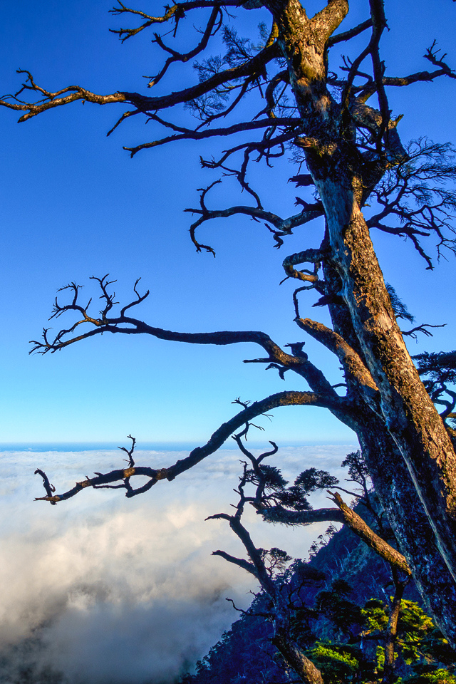 DSC03291-編輯.JPG DSC03291-編輯.JPG