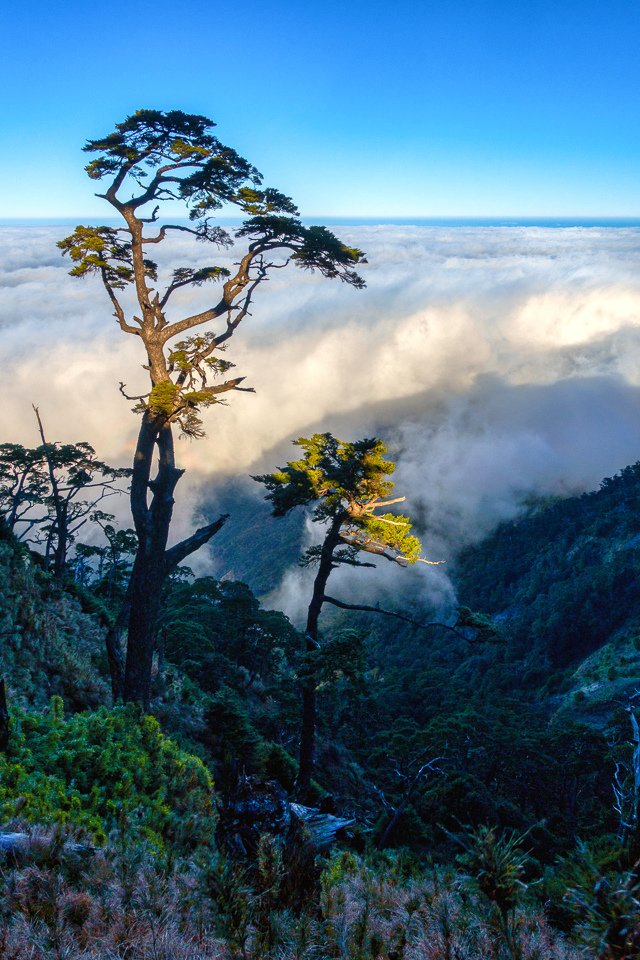 DSC03298-編輯.JPG DSC03298-編輯.JPG