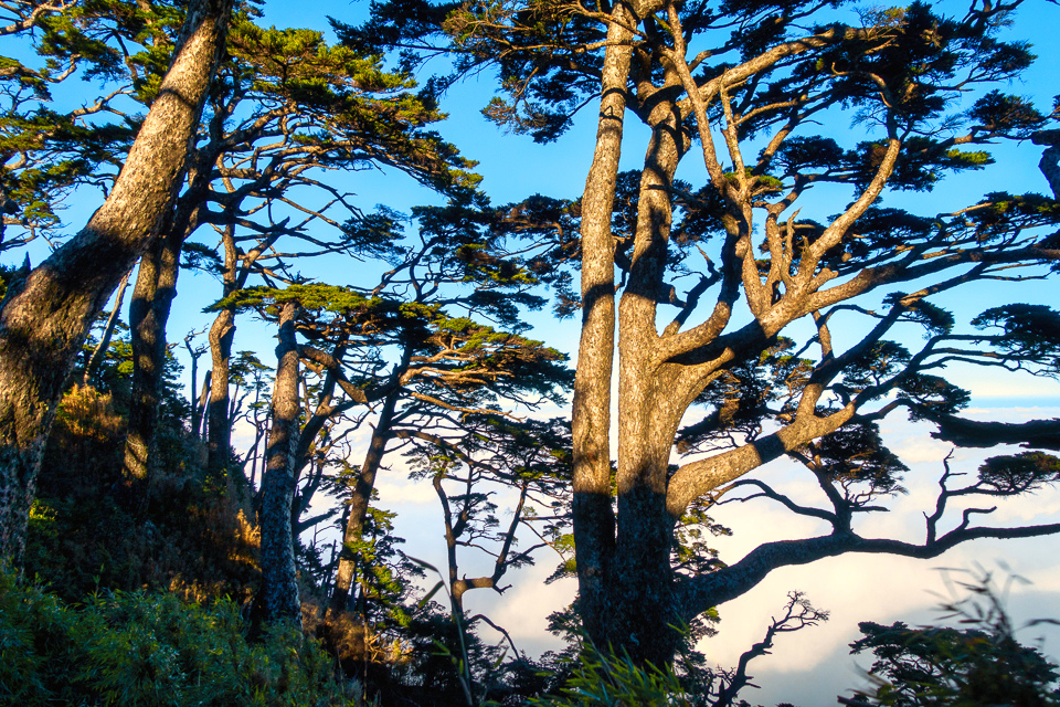 DSC03284-編輯.JPG DSC03284-編輯.JPG