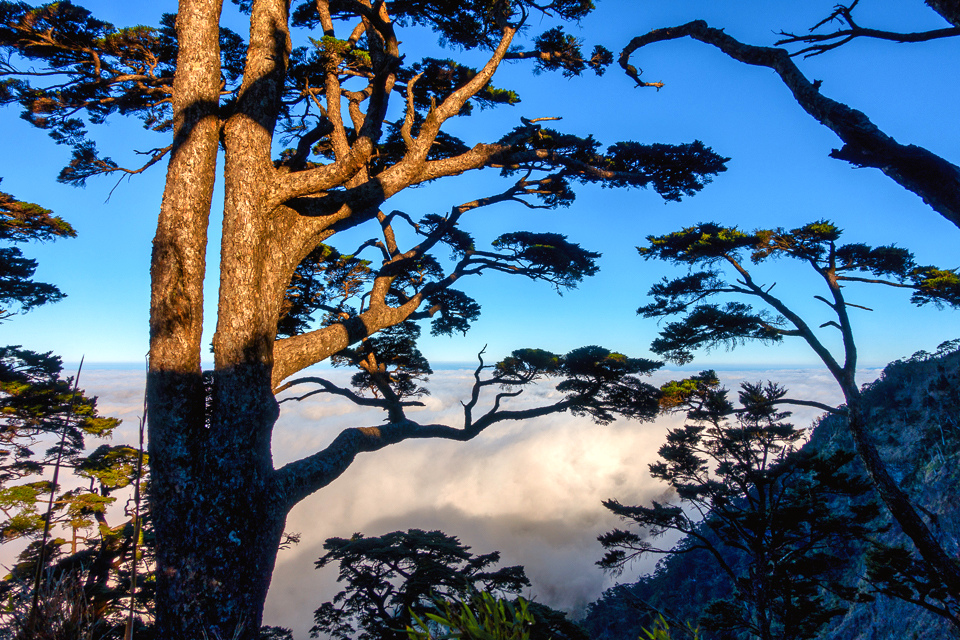 DSC03288-編輯.JPG DSC03288-編輯.JPG