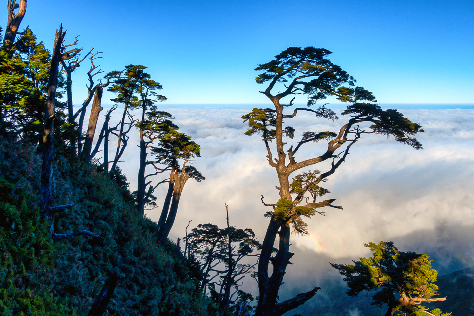 DSC03294-編輯.JPG DSC03294-編輯.JPG