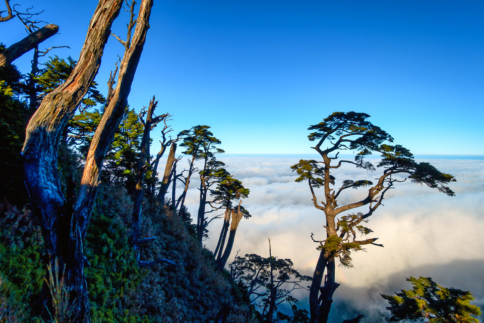 DSC03301-編輯.JPG DSC03301-編輯.JPG