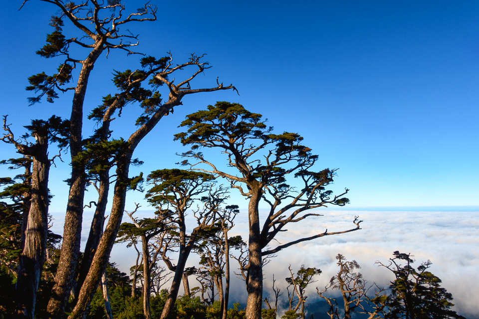 DSC03321-編輯.JPG DSC03321-編輯.JPG