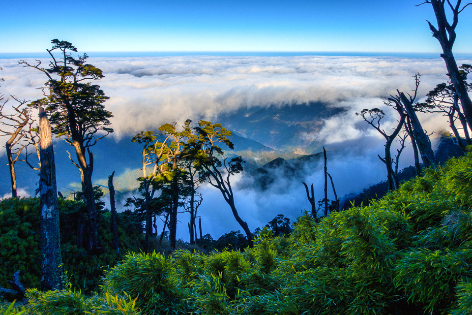 DSC03326-編輯.JPG DSC03326-編輯.JPG