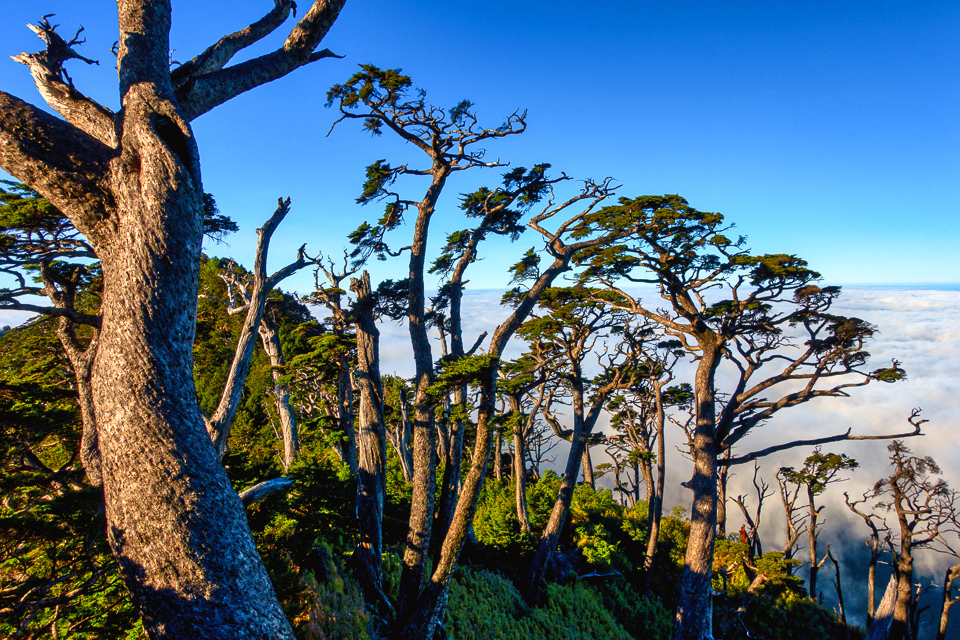 DSC03313-編輯.JPG DSC03313-編輯.JPG