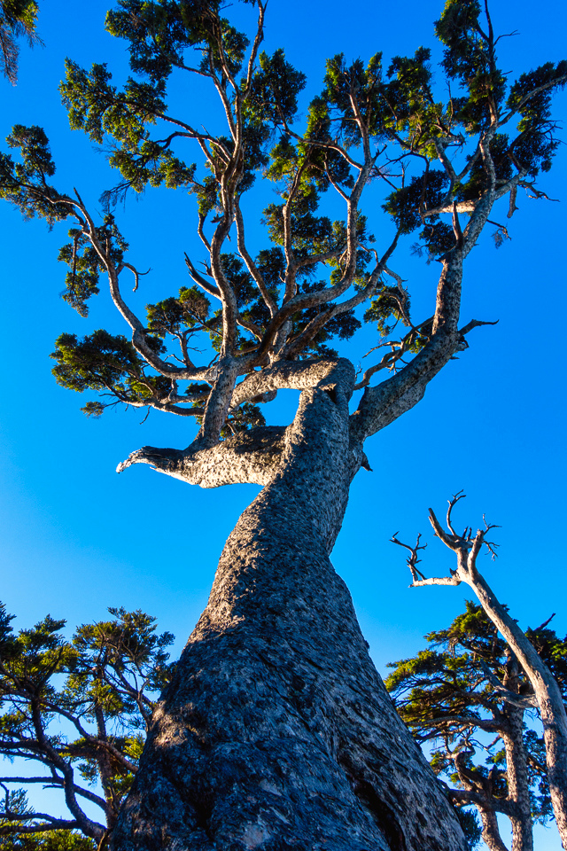 DSC03320-編輯.JPG DSC03320-編輯.JPG