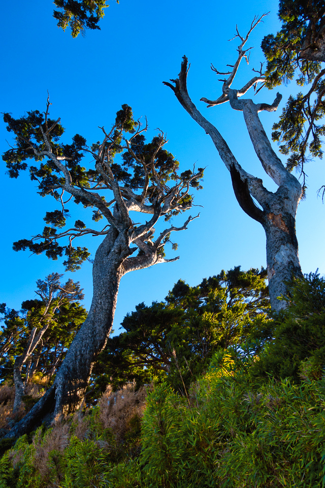 DSC03329-編輯.JPG DSC03329-編輯.JPG