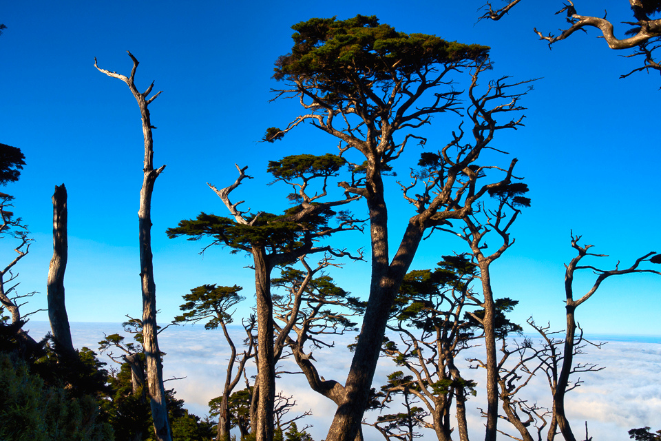 DSC03332-編輯.JPG DSC03332-編輯.JPG