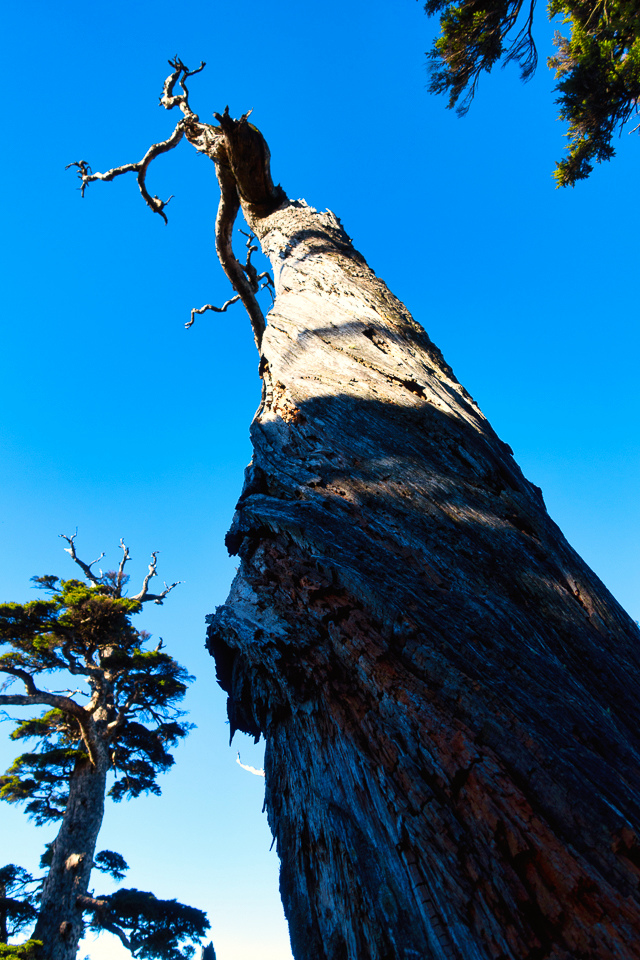 DSC03333-編輯.JPG DSC03333-編輯.JPG