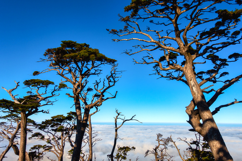 DSC03336-編輯.JPG DSC03336-編輯.JPG