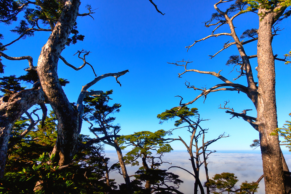 DSC03345-編輯.JPG DSC03345-編輯.JPG