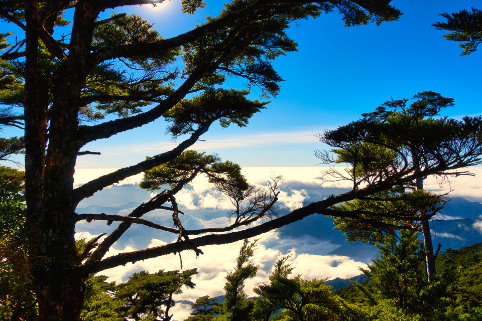 DSC03351-編輯.JPG DSC03351-編輯.JPG