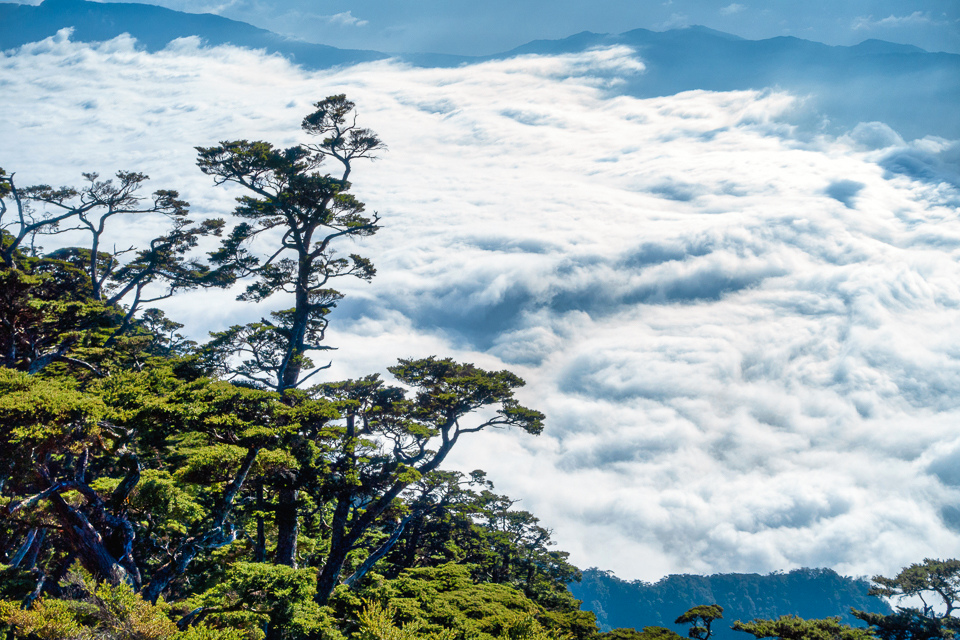 DSC03354-編輯.JPG DSC03354-編輯.JPG