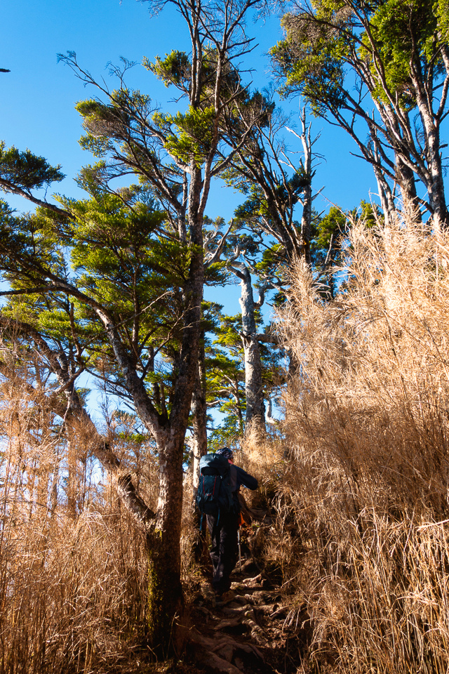 DSC03347-編輯.JPG DSC03347-編輯.JPG