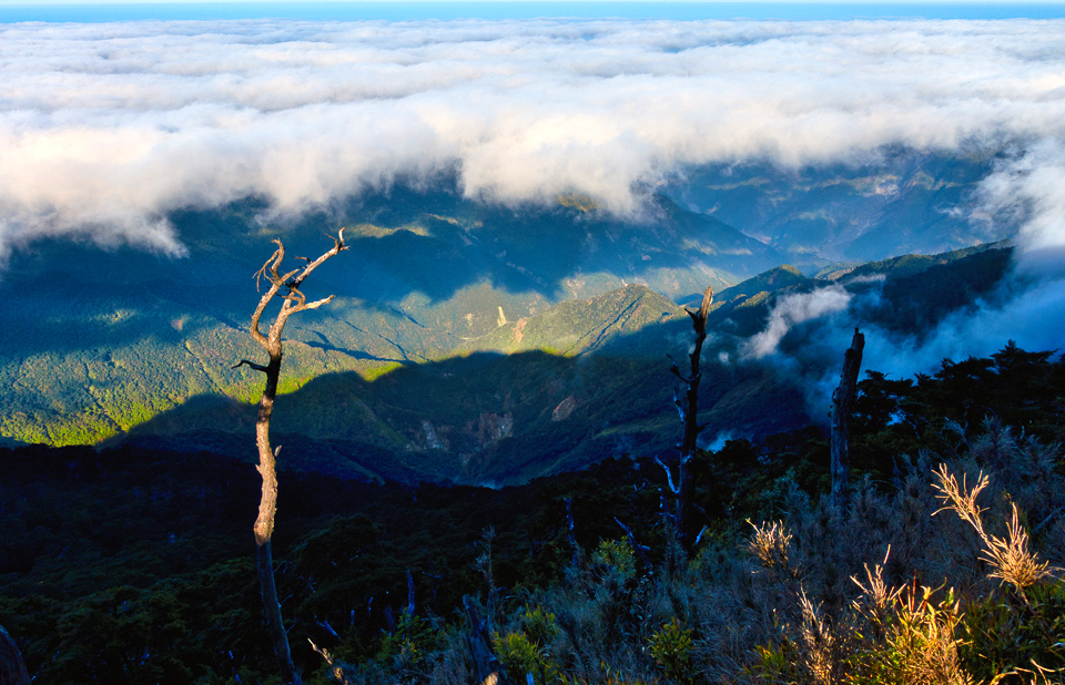 DSC03357-編輯.JPG DSC03357-編輯.JPG