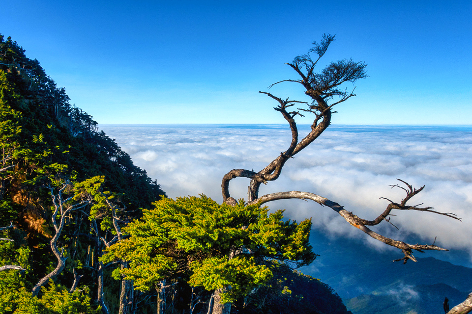 DSC03358-編輯.JPG DSC03358-編輯.JPG