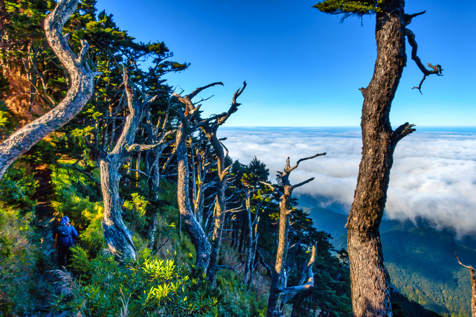 DSC03360-編輯.JPG DSC03360-編輯.JPG