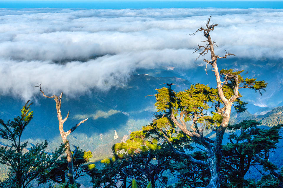 DSC03363-編輯.JPG DSC03363-編輯.JPG