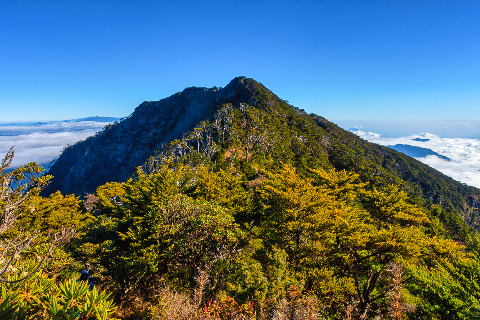 DSC03365-編輯.JPG DSC03365-編輯.JPG