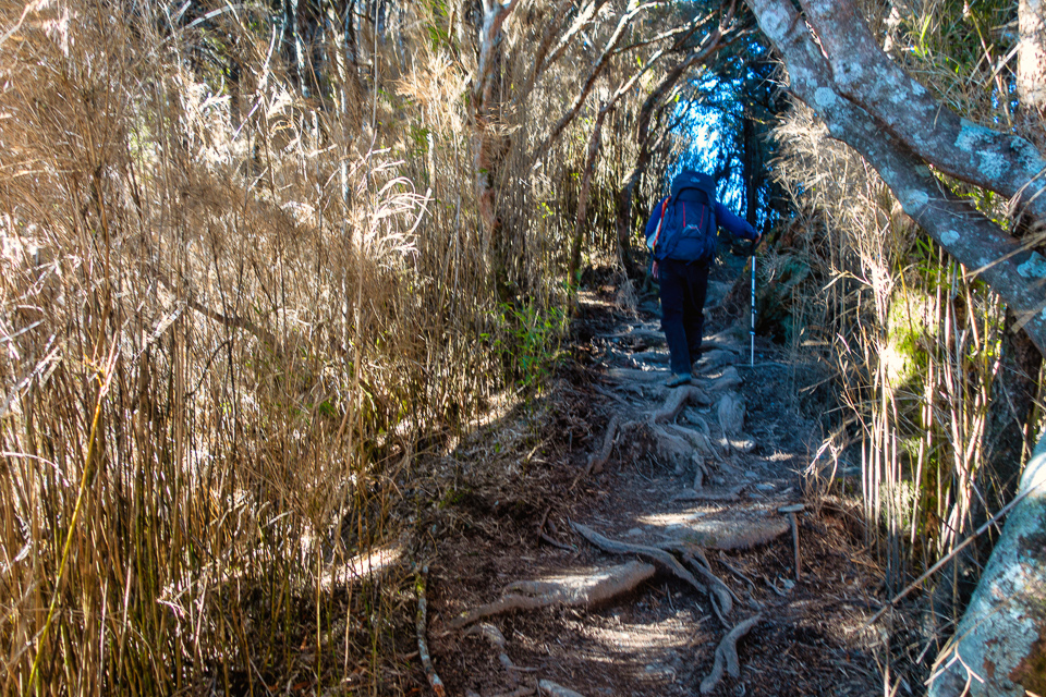 DSC03364-編輯.JPG DSC03364-編輯.JPG