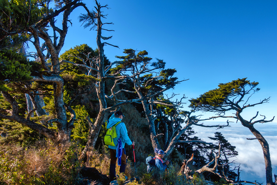 DSC03380-編輯.JPG DSC03380-編輯.JPG