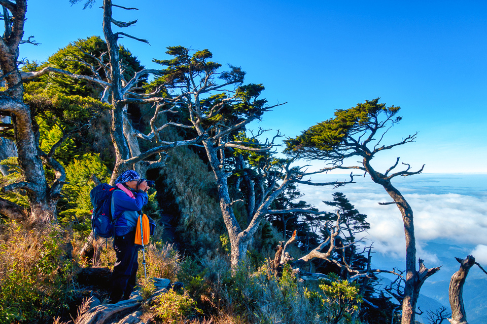 DSC03378-編輯.JPG DSC03378-編輯.JPG