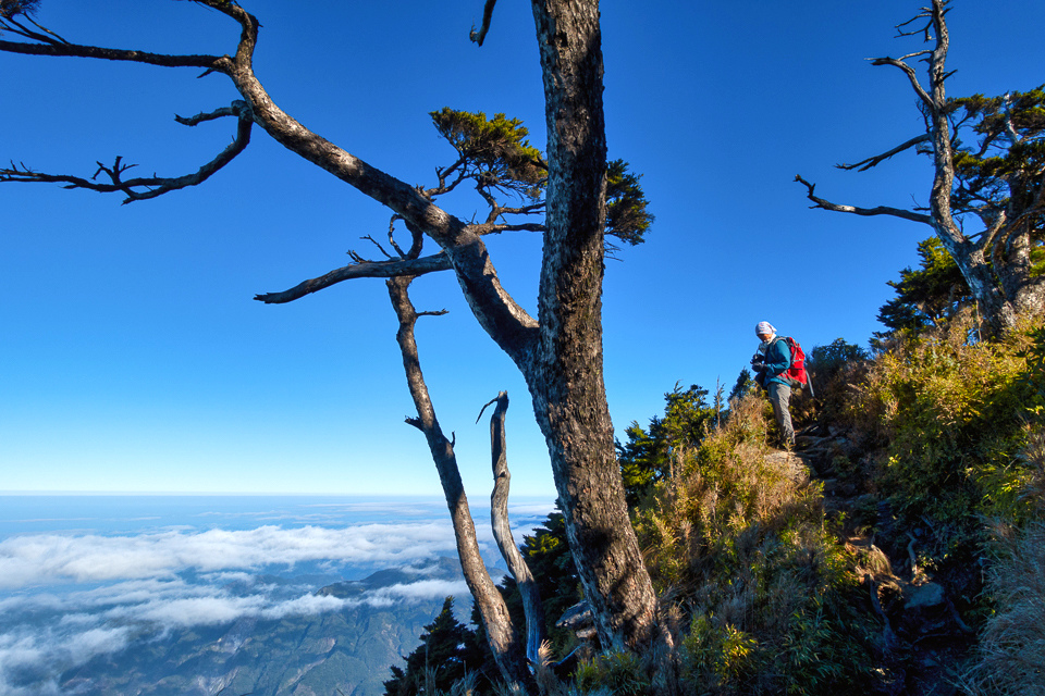 DSC03381-編輯.JPG DSC03381-編輯.JPG