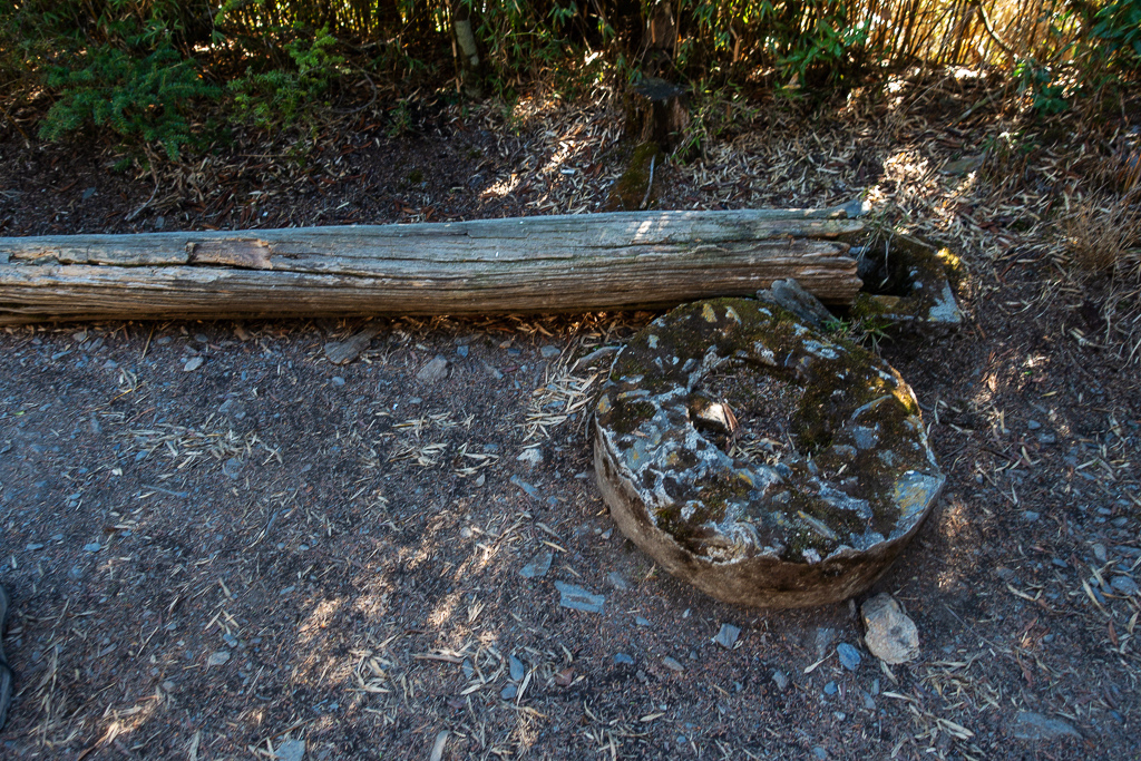 DSC03388.JPG DSC03388.JPG