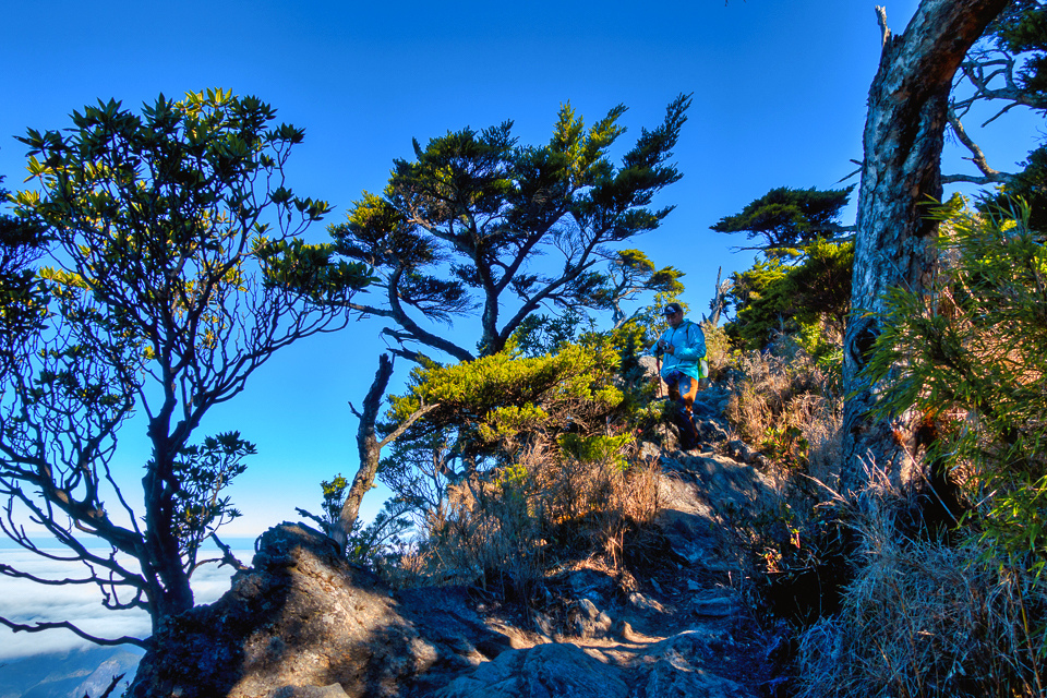 DSC03392-編輯.JPG DSC03392-編輯.JPG