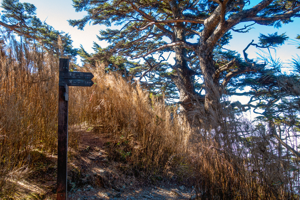 DSC03402-編輯.JPG DSC03402-編輯.JPG