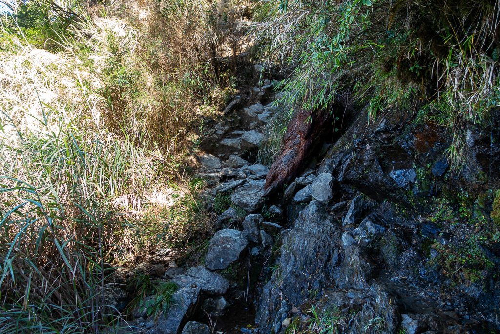 DSC03403.JPG DSC03403.JPG