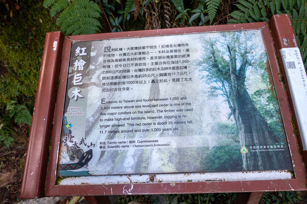 DSC03406.JPG DSC03406.JPG