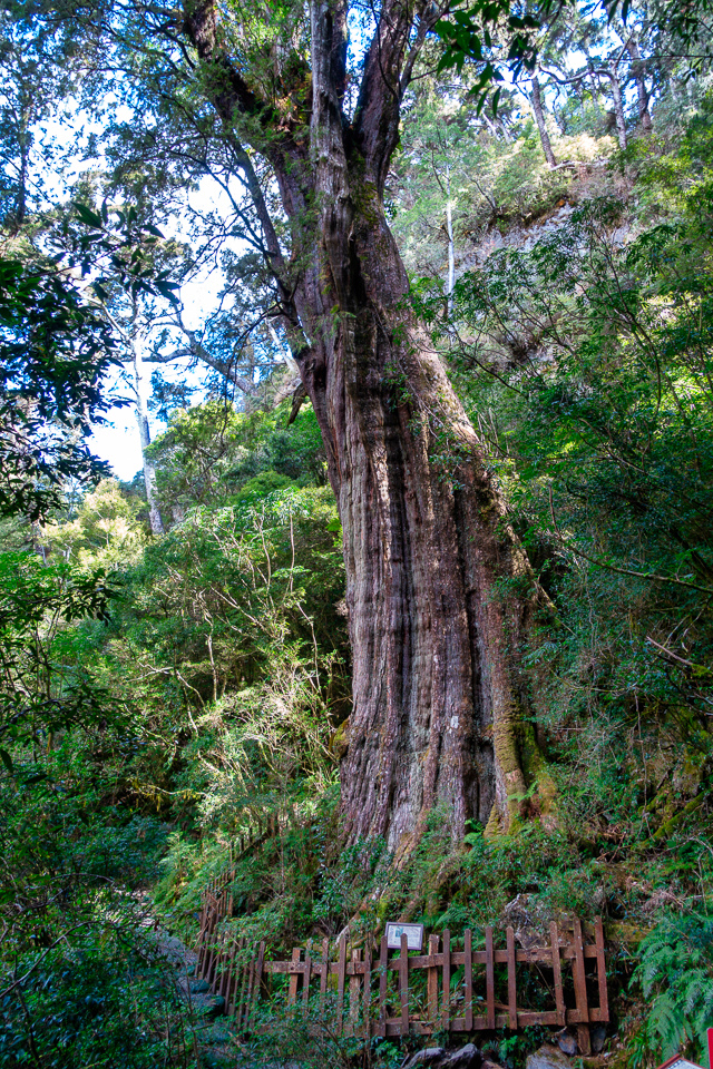 DSC03415-編輯.JPG DSC03415-編輯.JPG