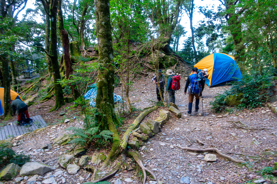 DSC03420-編輯.JPG DSC03420-編輯.JPG