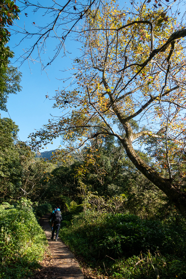 DSC02893.JPG DSC02893.JPG