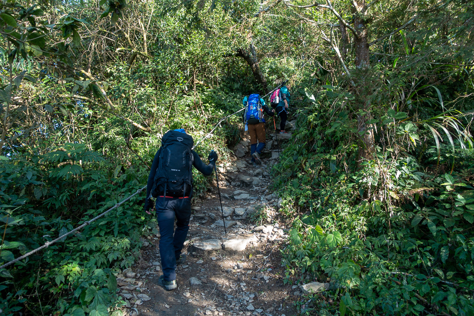 DSC02894.JPG DSC02894.JPG