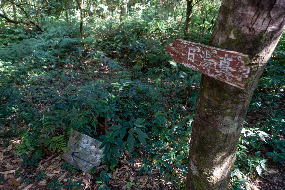 DSC02902.JPG DSC02902.JPG