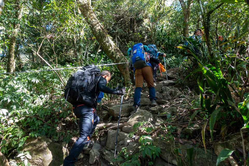 DSC02910.JPG DSC02910.JPG