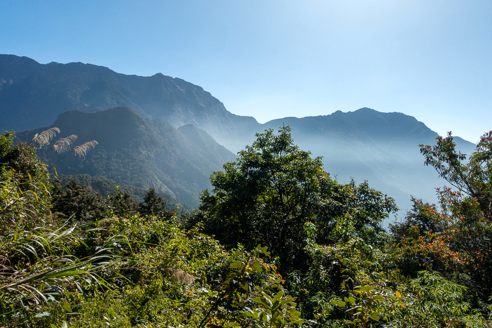 DSC02914.JPG DSC02914.JPG